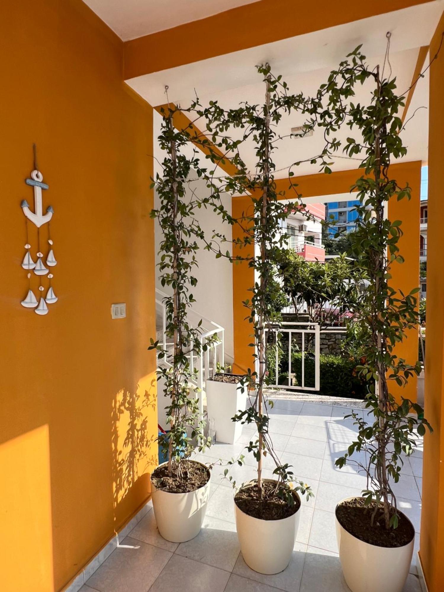 Mimi's Apartament Wlora